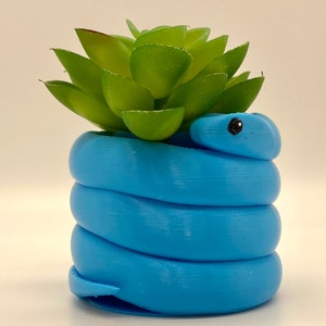 Small snake planter or organizer | danger noodle planter