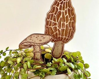 Mushroom plant stakes | whimsical plant decor | houseplant buddy | Cottagecore houseplant accessory