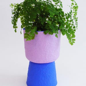 Puede incluir: Una maceta de dos tonos. La sección superior es lavanda suave y la base es azul brillante. Contiene una planta verde con hojas delicadas y en cascada. La superficie texturizada añade interés visual a esta pieza decorativa. Medidas en centímetros.