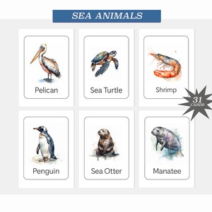 SEA ANIMALS • Watercolour • 31 Editable Cards • Flash Cards, Montessori Flash Card, PDF Printable Cards Preschool Toys Flashcard, Education