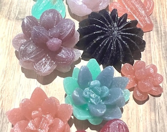 Succulent Kohakutou Candy Box, Vegan Kosher Gift