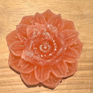 Lotus Kohakutou, bonbon à la gelée ASMR japonais, prêt à offrir