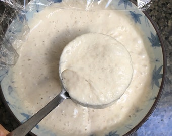 Wet and Dry San Francisco Sourdough starter