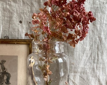 Antique French Glass Jar: Handblown Apothecary Preserving Jar
