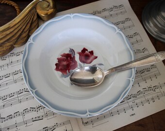 Antique French Red & Blue Bowl DIGOIN SARREGUEMINES Stencilware Plate French Art Nouveau Bowl
