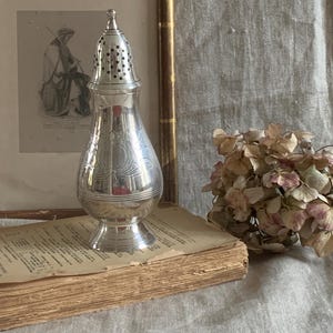French Antique Engraved Silver Plated Muffineer Vintage French Sugar Shaker