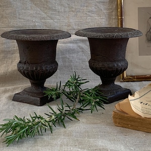 Pair of  French Cast Iron Medici Urns Metal Garden Planters Rusty Cast Iron Garden Vases