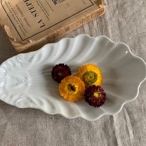 May include: A white, shell-shaped ceramic dish with a scalloped edge, holding several dried flowers in shades of yellow and burgundy. A vintage book is partially visible in the background, resting on a neutral linen surface.