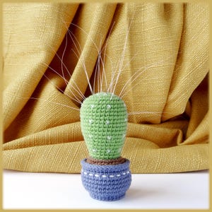 Cat whiskers holder Crochet Pattern