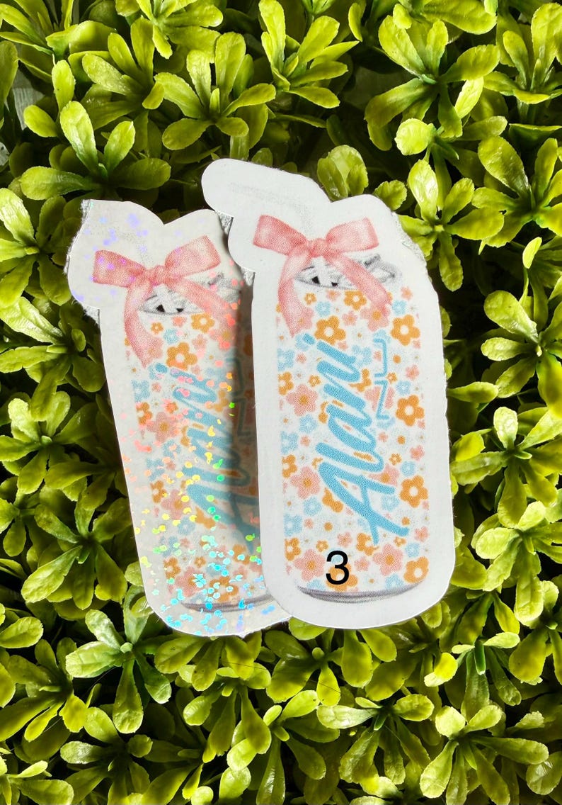 Pode incluir: Dois adesivos em forma de frascos, decorados com um padr&atilde;o floral em laranja, azul e rosa. Cada frasco tem um la&ccedil;o rosa no topo e o nome "Alani" em azul. O n&uacute;mero "3" est&aacute; na parte inferior.