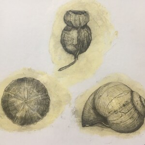 Round Things