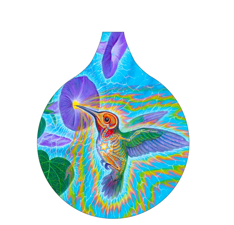 Spiral Didgeridoo _ Hummingbird Color Design _ DG Doo High Quality