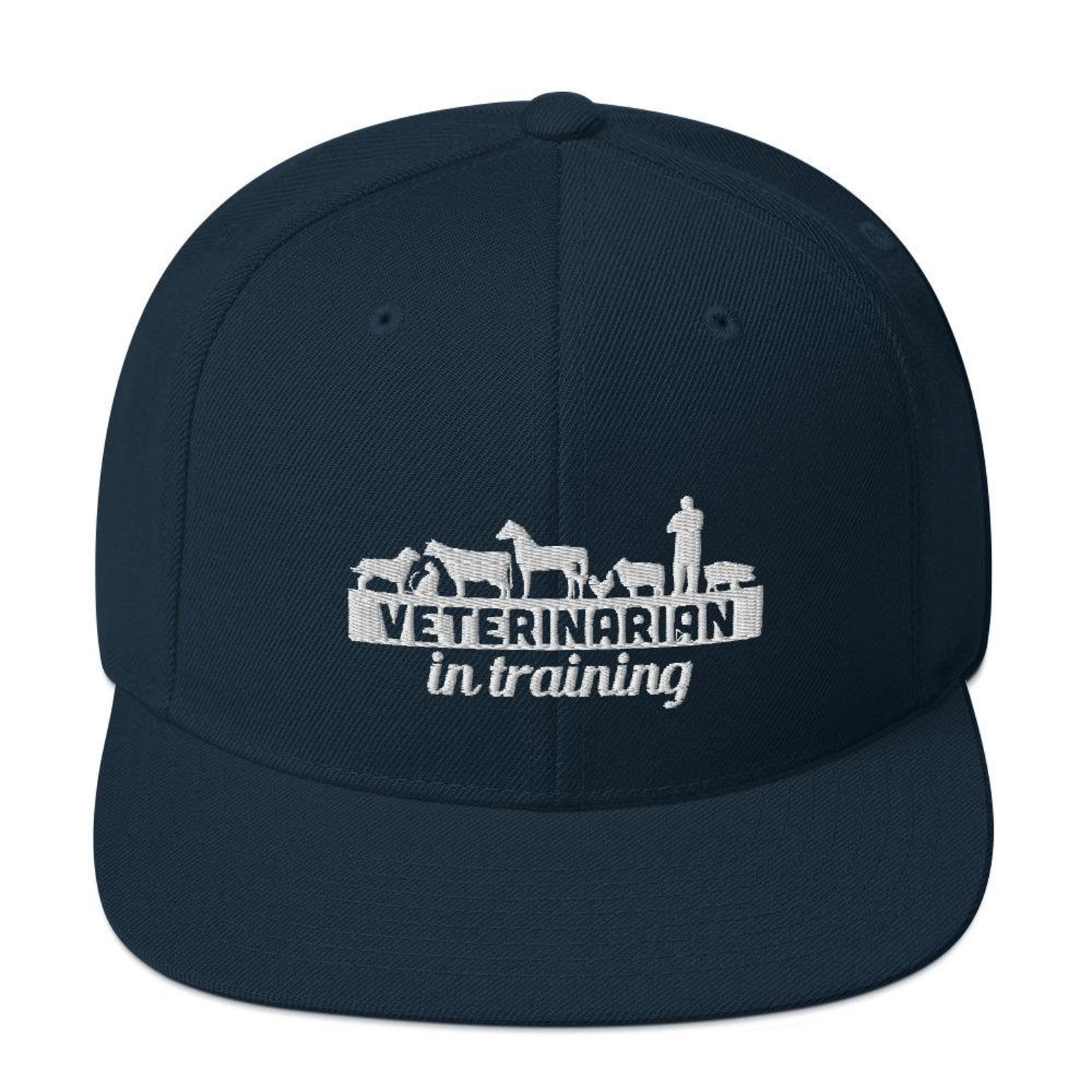 Dr. Pol Veterinarian in Training Snapback Hat Etsy