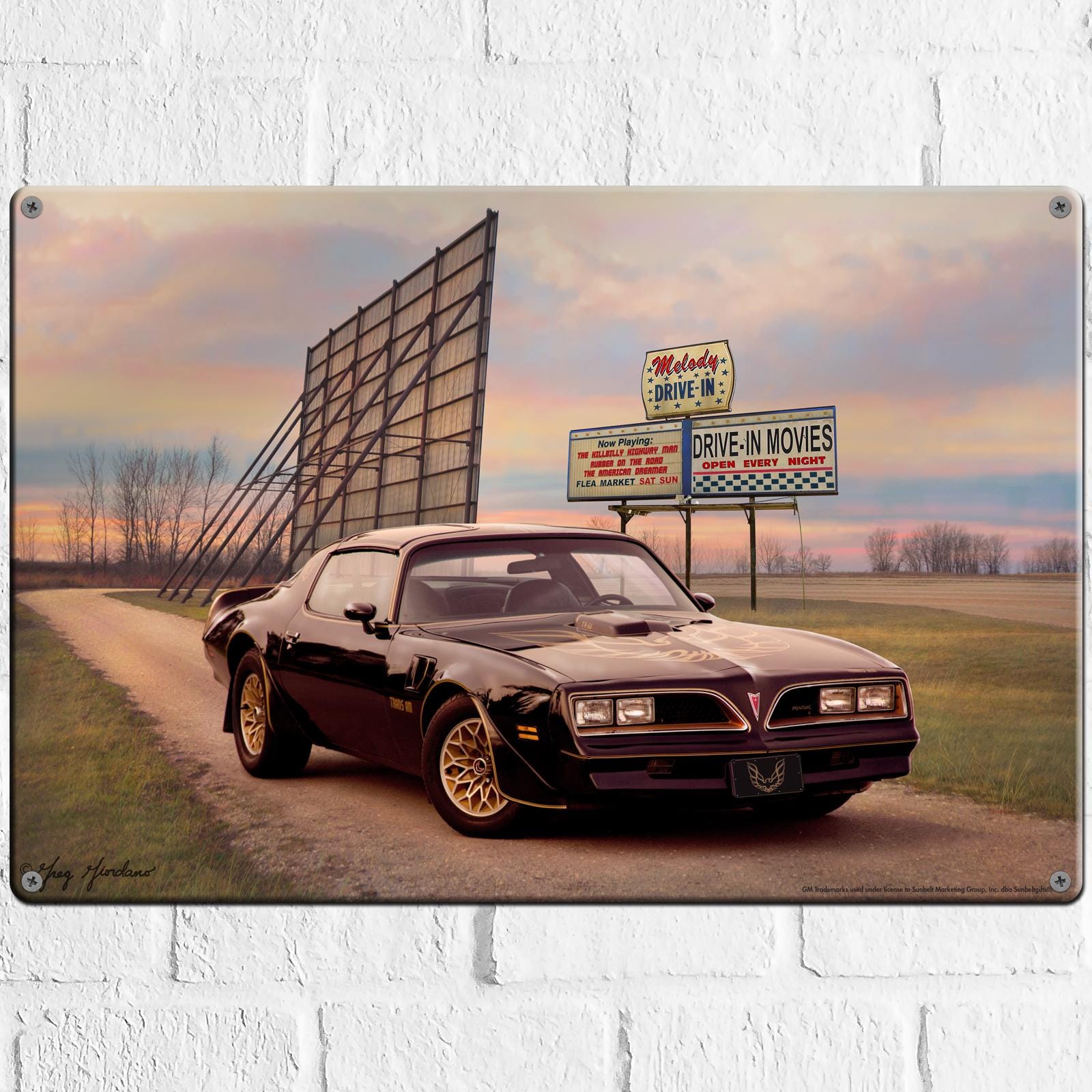 Trans Am Sign Long 1977 Pontiac Trans Am Metal Wall Sign 18