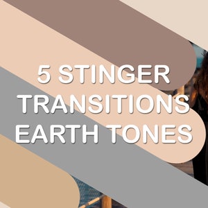 Twitch Stinger Transitions - Professional Animation for Your Stream Graphics