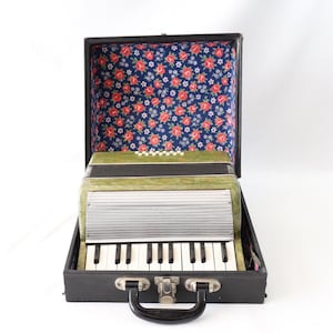 Accordéon ancien extrêmement rare, accordéon bébé, petit accordéon, accordéon XS, instrument de musique, étui en cuir pour accordéon, 14 touches de basse et 23 touches