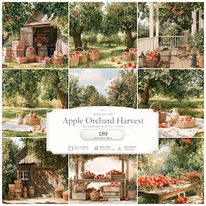 Pode incluir: Uma coleção de papel digital intitulada Apple Orchard Harvest com 150 páginas imprimíveis. As imagens mostram pomares de macieiras, caixotes de madeira, cestos trançados cheios de maçãs vermelhas, celeiros rústicos e varandas em 30,48 x 30,48 cm.
