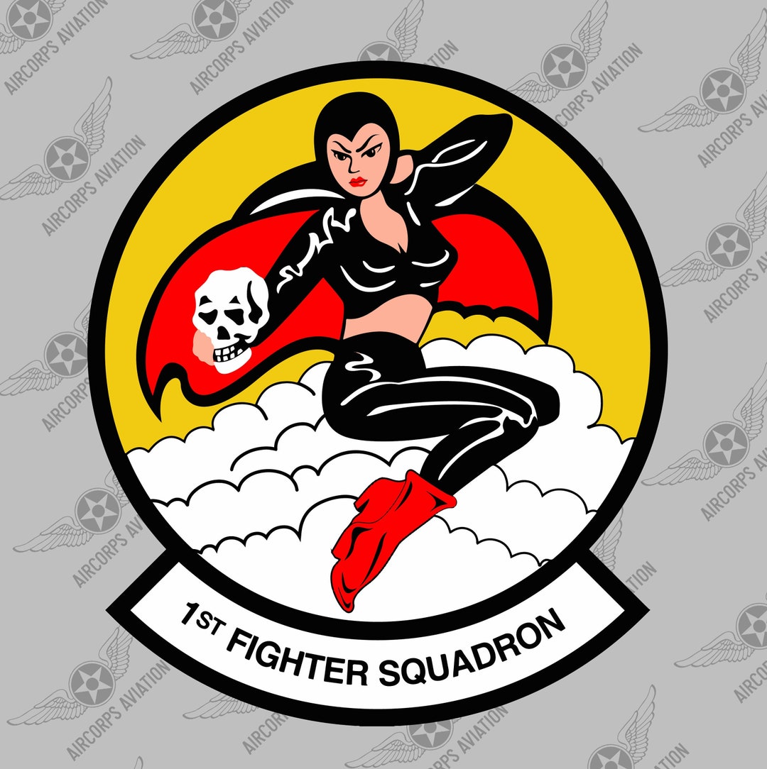 Squadron Sticker-1e Fighter Squadron USAF historische WWII luchtmacht  militaire insignes embleem logo vinyl raamsticker sticker - Etsy België, image size:1080x1084