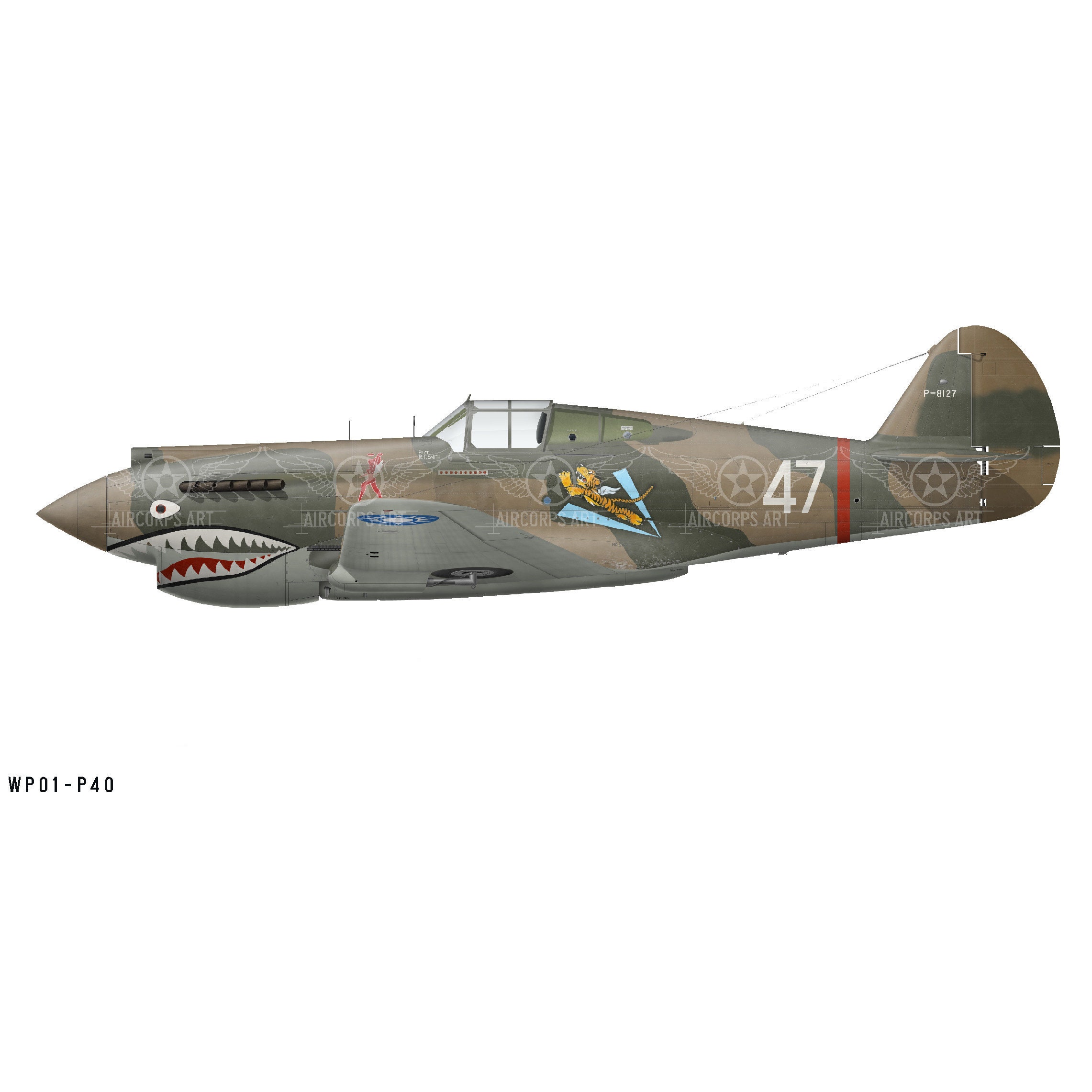 Curtiss P40 Tomahawk Flying Tigers Shark Mouth Airplane