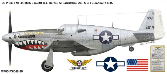 P-51C マスタング「エヴァリーナ」飛行機サメの口のプロフィール P-51C マスタング「エヴァリーナ」飛行機サメの口のプロフィール