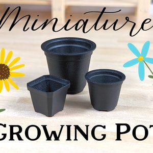 Peut inclure: Trois petits pots de culture noirs de différentes tailles sont présentés sur un fond en bois clair, avec le mot "Miniature" au-dessus et "GROWING POT" en dessous. Des fleurs décoratives jaunes et bleues sont également présentes.