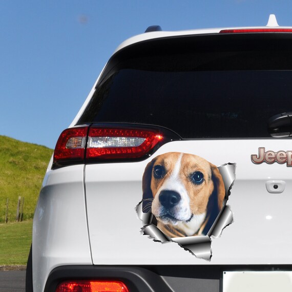 Beagle Car Sticker Car Bumper Sticker Dog Sticker Car Vinyl Etsy