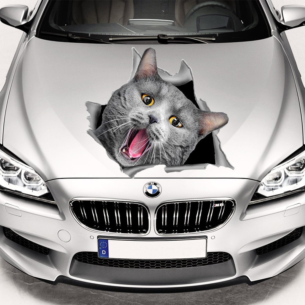 Сat sticker autocollants. Autocollants de voiture de capuche. Etsy