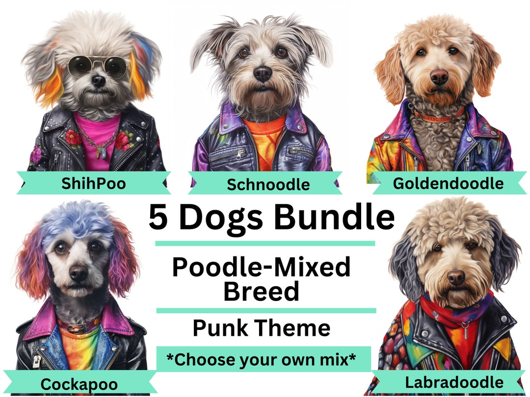 funny-mixed-dog-breed-bundle-poodle-mix-svg-png-eps-pdf-labradoodle