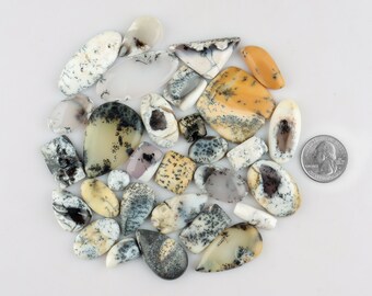 4243-45 Natural DENDRITIC AGATE CABOCHON Fossilised Agate Pear Cabochon For Wire Wrapping 19x32x6mm 28 Cts