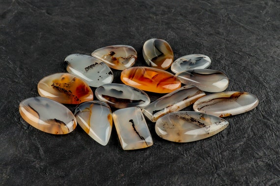 75 cts Montana mousse pierres précieuses Cabochons, Cabochons, Cabochons, Scenic Agate Moss Agate, pierre naturelle Cabochon en Agate, Agate d’alimentation 4b5e49 75 cts Montana mousse pierres précieuses Cabochons, Cabochons, Cabochons, Scenic Agate Moss Agate, pierre naturelle Cabochon en Agate, Agate d’alimentation 4b5e49
