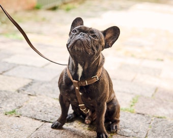 Arnés personalizado para perros, Conjunto de correa y arnés para perros, Arnés para perros pequeños, Arnés de cuero para perros, Arnés natural para perros, Arnés ajustable para perros