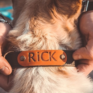 Leather dog collar personalized,Leather dog collar with name,Dog collar personalized boy,Custom leather dog collar