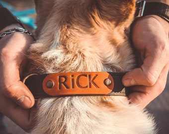 100% Genuine leather dog collar, Personalized dog collar, Large leather dog collar, Puppy collar leather, Small dog collar,Custom dog collar