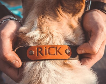 Leather dog collar personalized,Leather dog collar with name,Dog collar personalized boy,Custom leather dog collar