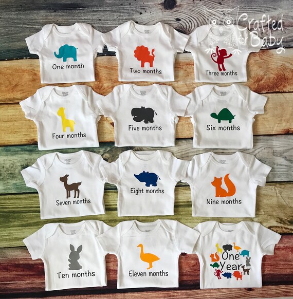 monthly milestone bodysuits
