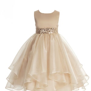 Disney flower girl dresses 2025