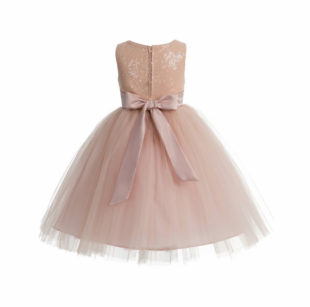 Blush Pink Sequins Mesh Flower Girl Dress Tulle Dresses - Etsy