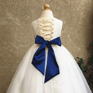 Organza with Ivory Lace Appliqued Short Dress Wisteria