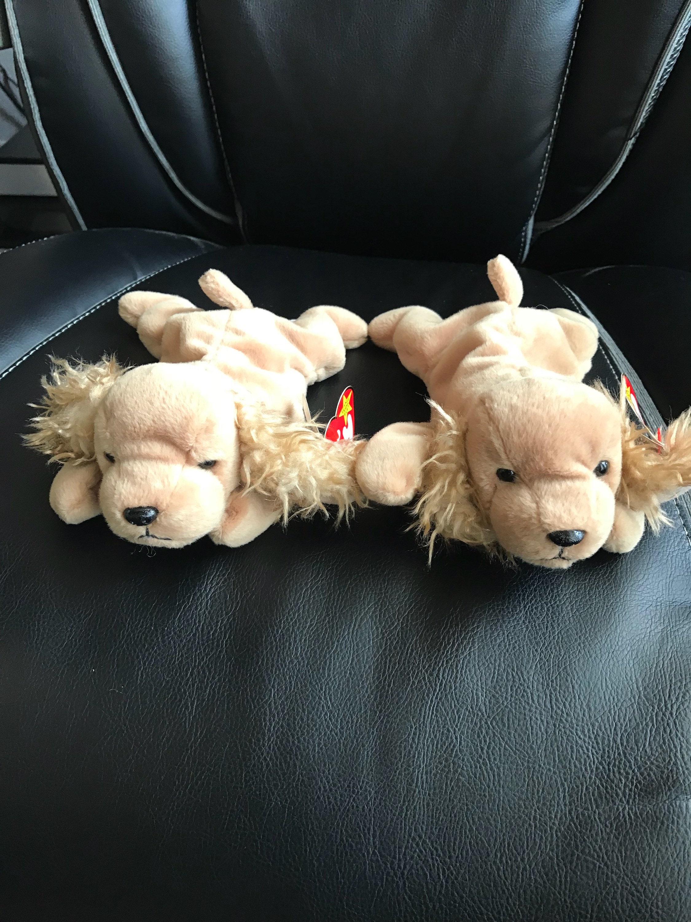 1997 spunky beanie baby