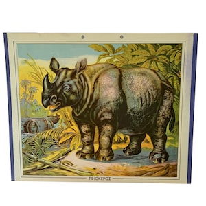 Impresión escolar de rinocerontes N.O.S, Gráfico escolar de cartón original, Estampado de cartón vintage, gráfico de pared, Decoración de habitaciones para niños, Gráfico escolar