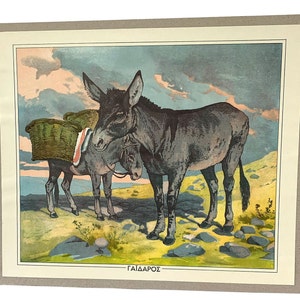 Lámina escolar de burro, Lámina escolar original de cartón, Lámina de cartón vintage, Lámina de pared, Decoración de habitación infantil, Decoración del hogar