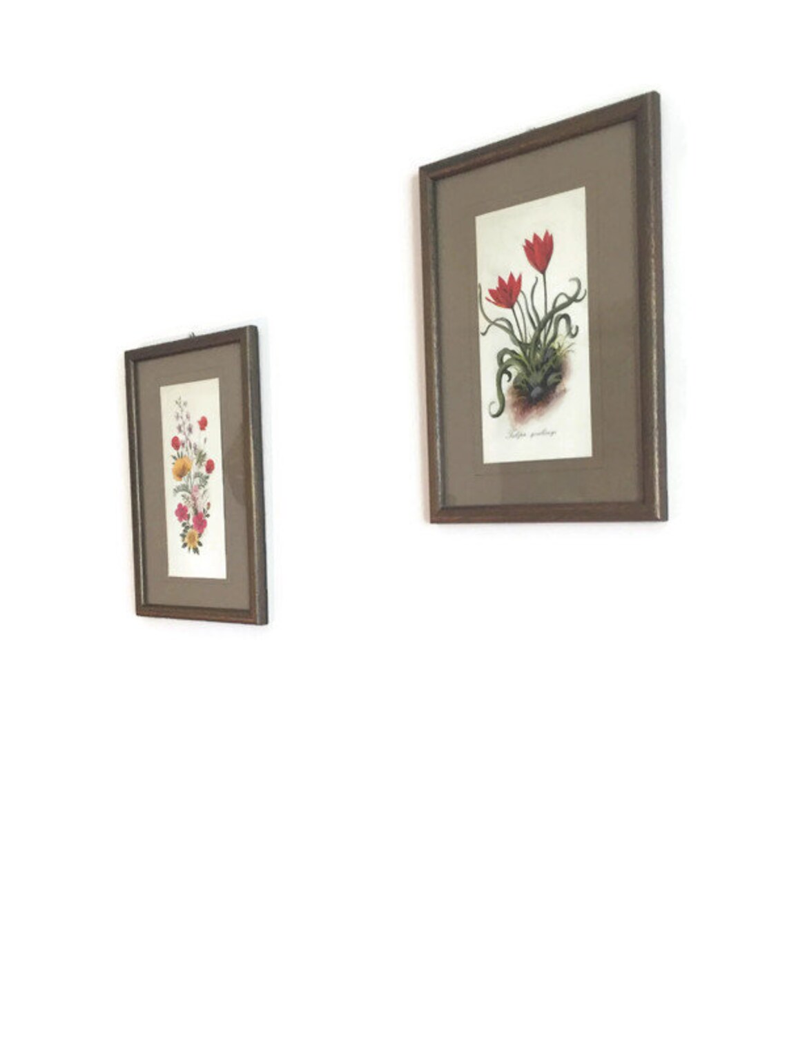 Set of Two Floral Wall Decor Framed Floral Prints Vintage Etsy