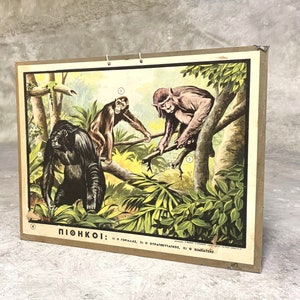 Impresión escolar de monos Gráfico escolar original de cartón Impresión de cartón vintage Decoración de la habitación de los niños Decoración del hogar.