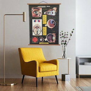 Vintage Augenanatomie-Klappkarte, Augapfel-Schautafel, Vintage Anatomie des menschlichen Körpers, Medizinische Schultafel, Lehrtafel, Anatomieplakat