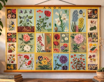 Flower Blossoms pull down chart, Botanical school science, Botanical school chart, School Chart, Vintage Pull down chart, Home Decor