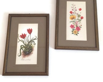 Set of two floral wall decor framed floral prints, Vintage Pair of Framed Floral Prints, Botanical wall art, botanical print vintage