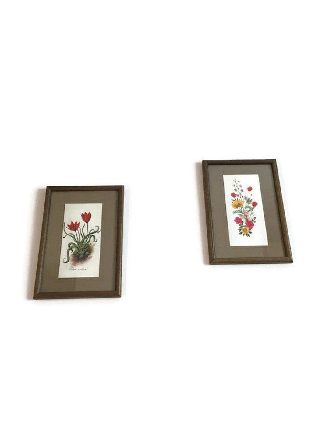 Set of Two Floral Wall Decor Framed Floral Prints Vintage Etsy