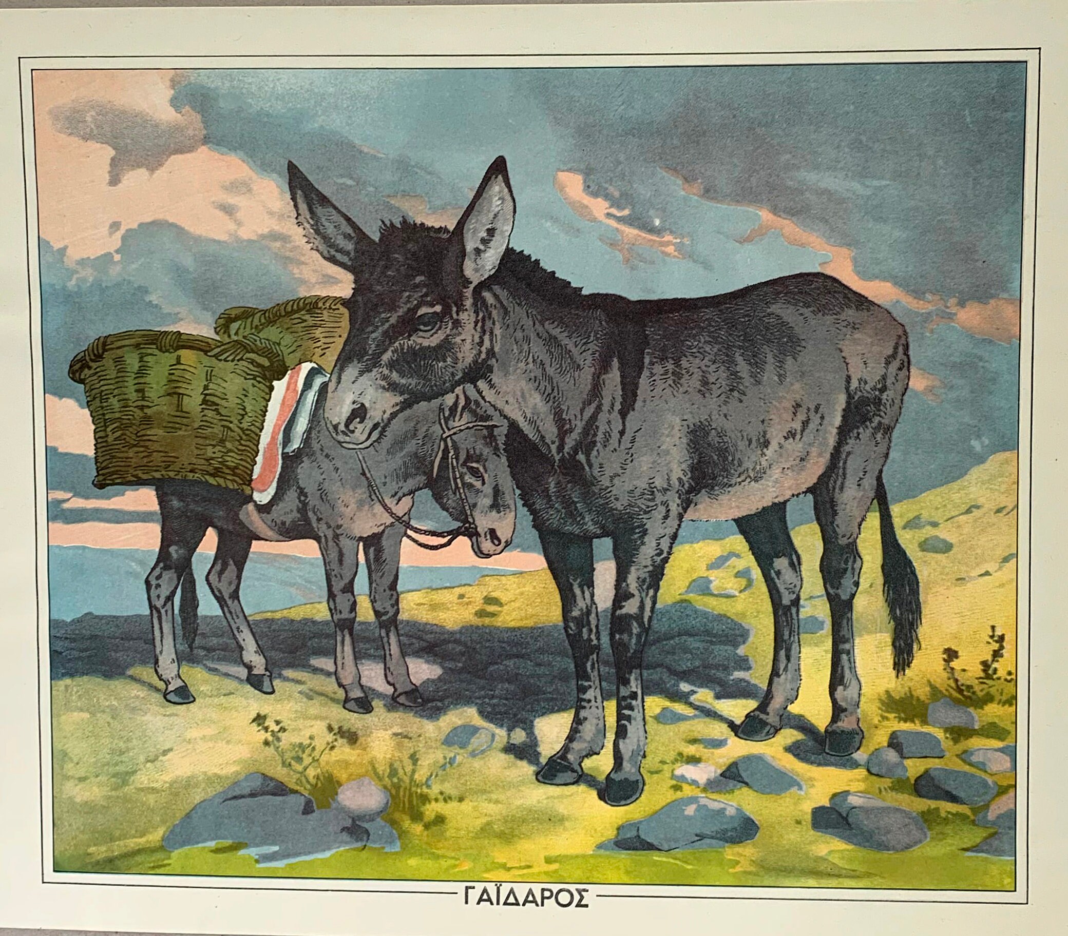 Vintage Donkey School Chart: Original Cardboard Print, Kids Room Decor ...