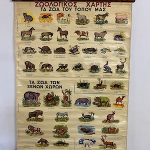 May include: A vintage educational wall chart featuring illustrations of various animals categorized by their habitats. The poster includes Greek text titles and labels for each creature, with wooden dowels at the top and bottom for hanging.