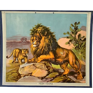 Lions Schulbild N.O.S, Original Schulkarte aus Karton, Vintage Karte aus Karton, Wandbild, Kinderzimmer Dekoration, Schulkarte